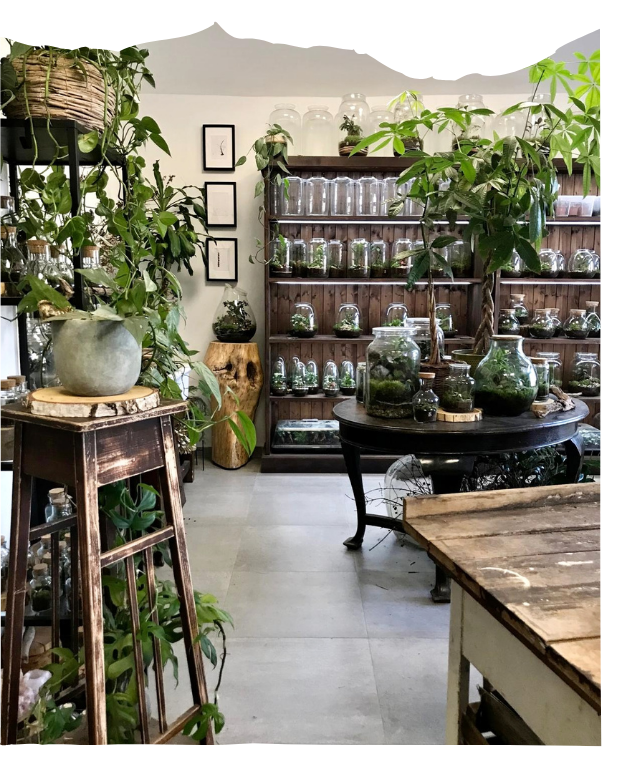 Milujeme mech Atelier 26 Praha 7